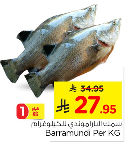 available at نستو in مملكة العربية السعودية, السعودية, سعودية - الخبر‎