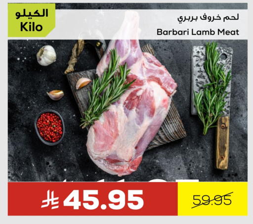 اللحوم الطازجة والمبردة in أسواق أسترا, المملكة العربية السعودية Offers - المملكة العربية السعودية لحم الضأن / الغنم available at أسواق أسترا in مملكة العربية السعودية, السعودية, سعودية - تبوك