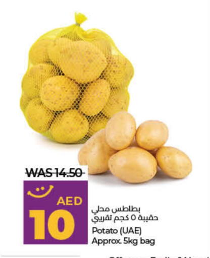 بطاطا available at لولو هايبرماركت in الإمارات العربية المتحدة , الامارات - دبي