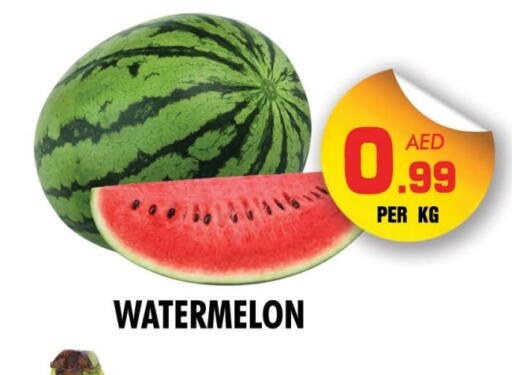 Watermelon available at NIGHT TO NIGHT DEPARTMENT STORE in UAE - Dubai