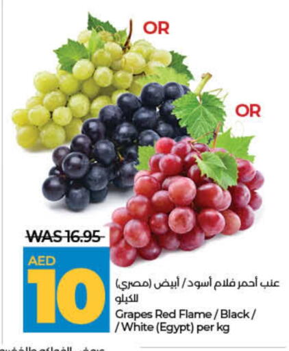 فاكهة طازجة in لولو هايبرماركت, UAE Offers - الإمارات العربية المتحدة عنب from Egypt available at لولو هايبرماركت in الإمارات العربية المتحدة , الامارات - دبي