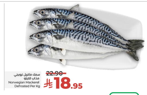 available at LULU Hypermarket in KSA, Saudi Arabia, Saudi - Hail