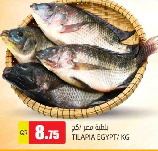 available at جراند هايبرماركت in قطر - الريان