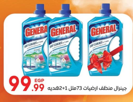 General Cleaner available at El mhallawy Sons in Egypt - Cairo