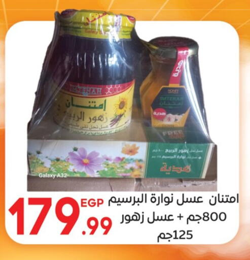 Honey available at El mhallawy Sons in Egypt - Cairo