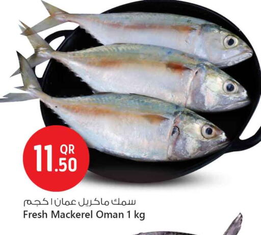available at سفاري هايبر ماركت in قطر - الوكرة