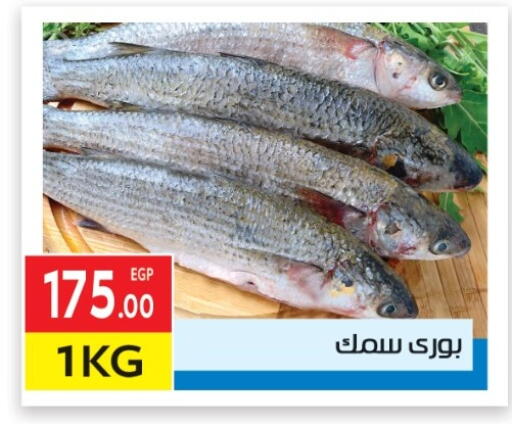 available at المحلاوي ماركت in Egypt - القاهرة