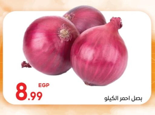 available at El mhallawy Sons in Egypt - Cairo