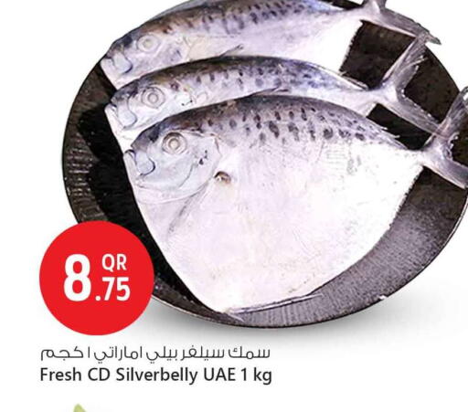 available at سفاري هايبر ماركت in قطر - الوكرة