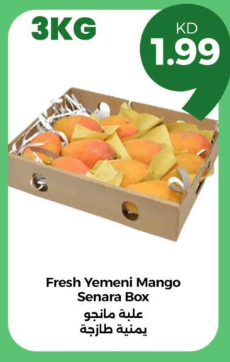 Mangoes from Yemen available at Taw9eel.com in Kuwait - Kuwait City