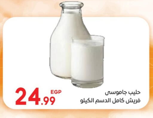available at El mhallawy Sons in Egypt - Cairo