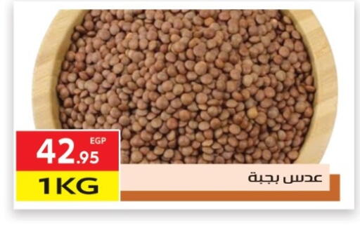 available at المحلاوي ماركت in Egypt - القاهرة