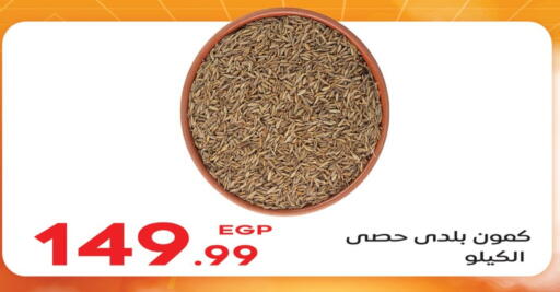 available at El mhallawy Sons in Egypt - Cairo