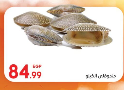 available at El mhallawy Sons in Egypt - Cairo