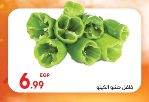 available at El mhallawy Sons in Egypt - Cairo