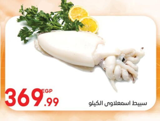 available at El mhallawy Sons in Egypt - Cairo