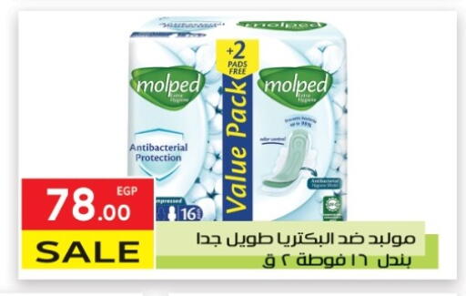 available at المحلاوي ماركت in Egypt - القاهرة
