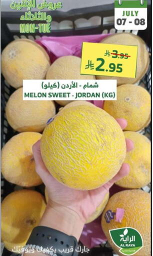 Sweet melon from Jordan available at Al Raya in KSA, Saudi Arabia, Saudi - Ta'if