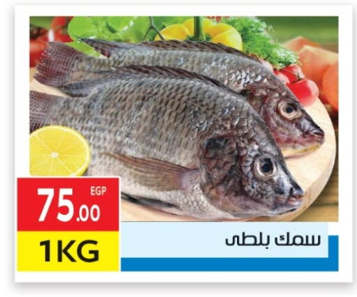available at المحلاوي ماركت in Egypt - القاهرة