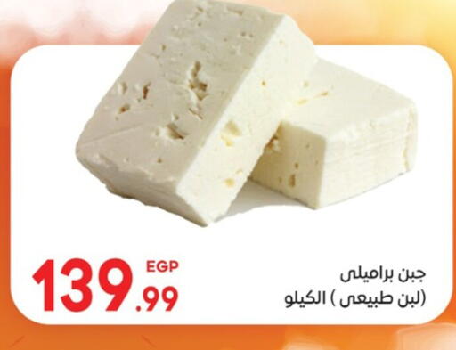 available at El mhallawy Sons in Egypt - Cairo