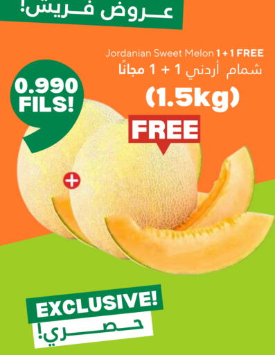 Sweet melon from Jordan available at Taw9eel.com in Kuwait - Jahra Governorate