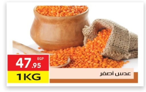 available at المحلاوي ماركت in Egypt - القاهرة