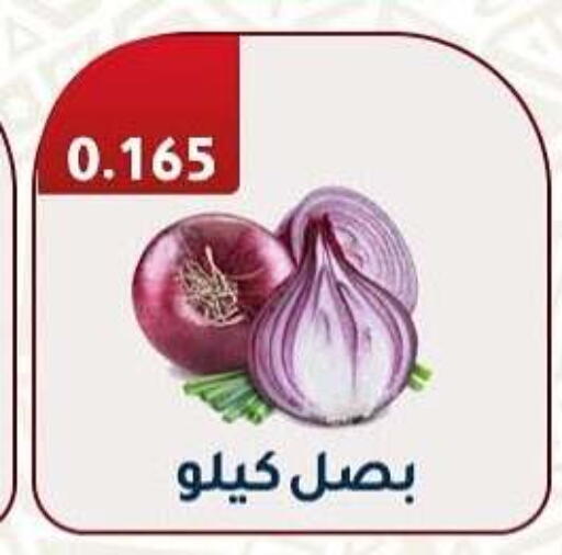 بصل available at جمعية فحيحيل التعاونية in الكويت - محافظة الجهراء