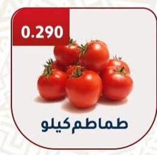 Tomato available at Al Fahaheel Co - Op Society in Kuwait - Kuwait City