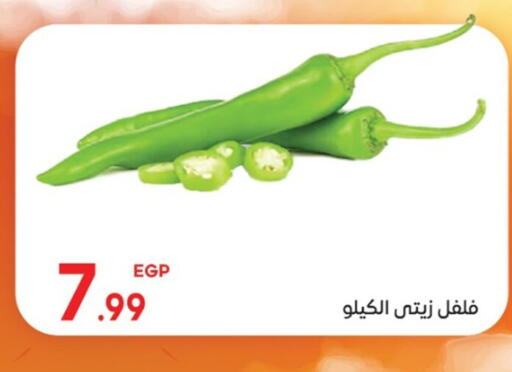 available at El mhallawy Sons in Egypt - Cairo