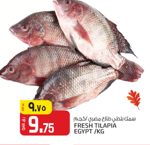 available at السعودية in قطر - الوكرة
