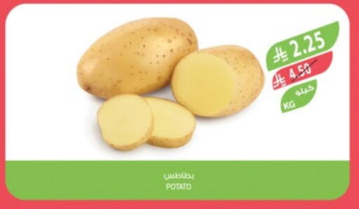 Fresh Vegetables in Farm , Saudi Arabia Offers - Saudi Arabia Potato available at Farm in KSA, Saudi Arabia, Saudi - Hafar Al Batin