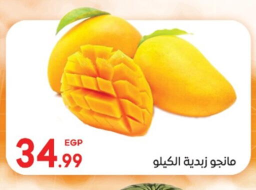 available at El mhallawy Sons in Egypt - Cairo