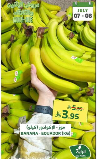Banana available at Al Raya in KSA, Saudi Arabia, Saudi - Ta'if