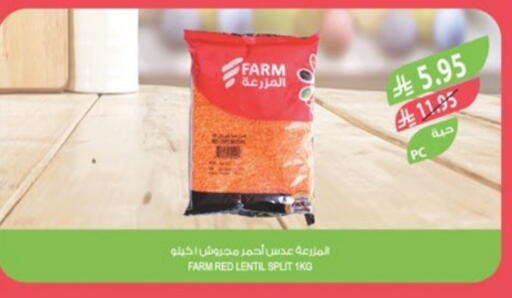 available at Farm  in KSA, Saudi Arabia, Saudi - Yanbu