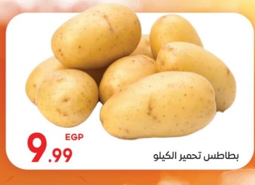 available at El mhallawy Sons in Egypt - Cairo