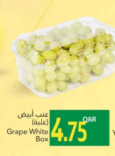 Fresh Fruits in Gulf Food Center, Qatar Offers - Qatar Grapes available at Gulf Food Center in Qatar - Al Shamal