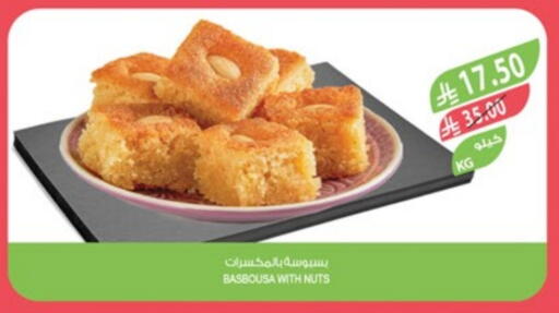 available at Farm  in KSA, Saudi Arabia, Saudi - Tabuk