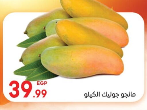 available at El mhallawy Sons in Egypt - Cairo