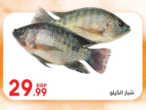 available at El mhallawy Sons in Egypt - Cairo