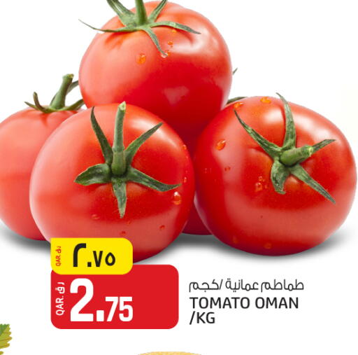طماطم from Oman available at السعودية in قطر - الشمال