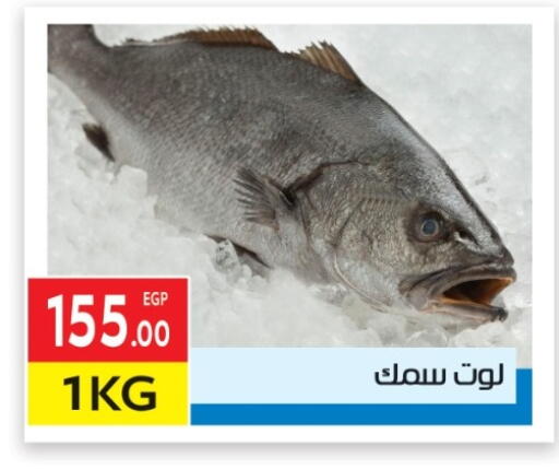 available at المحلاوي ماركت in Egypt - القاهرة