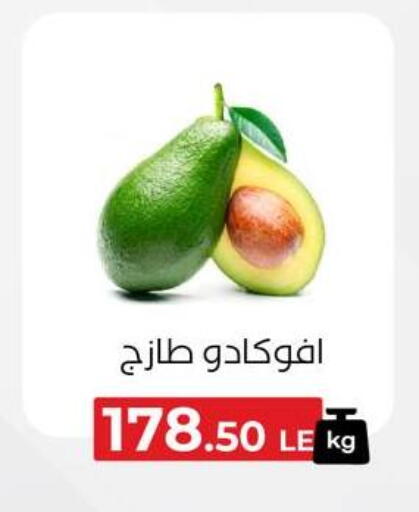 Avacado available at Arafa Market in Egypt - Cairo