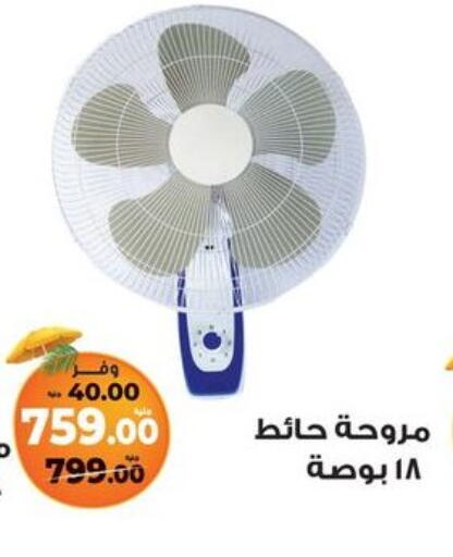 Fan available at Kazyon  in Egypt - Cairo