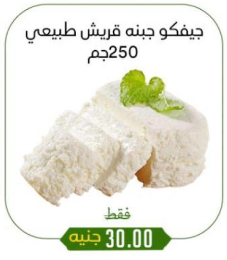 available at خان الحسين in Egypt - القاهرة