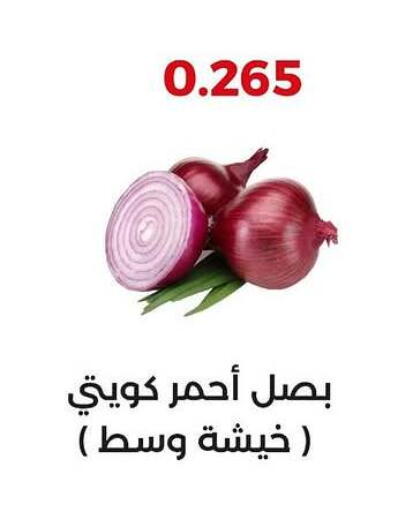 بصل available at جمعية العديلة التعاونية in الكويت - محافظة الجهراء