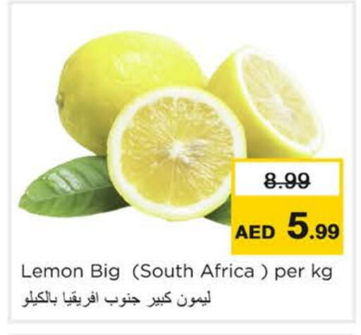 فاكهة طازجة in نستو هايبرماركت, UAE Offers - الإمارات العربية المتحدة Lemon from South Africa available at نستو هايبرماركت in الإمارات العربية المتحدة , الامارات - رَأْس ٱلْخَيْمَة