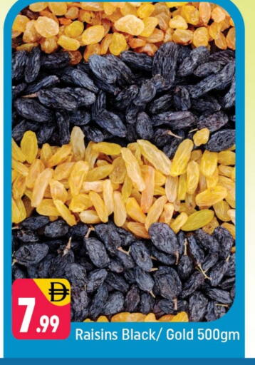 available at Shaklan  in UAE - Dubai