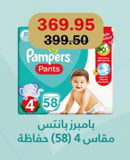 Pampers available at Flamingo Hyper Market in Egypt - Cairo