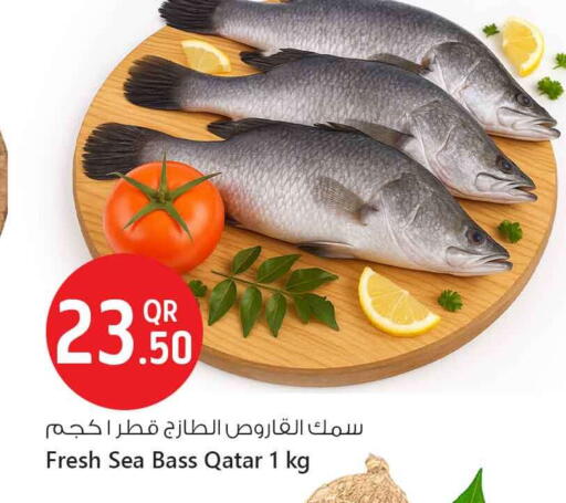available at سفاري هايبر ماركت in قطر - الوكرة