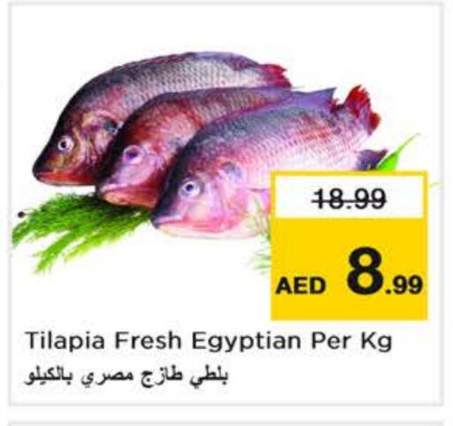 Meat - Fresh & Chilled in Nesto Hypermarket, UAE Offers - United Arab Emirates available at Nesto Hypermarket in UAE - Dubai